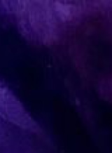 Guest_briana174013
