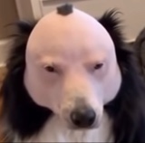 MrMakehertap