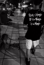 Guest_sokos15