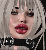 Guest_OXVl