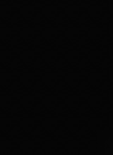 Guest_May940096