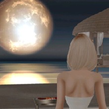 Guest_Luna602404