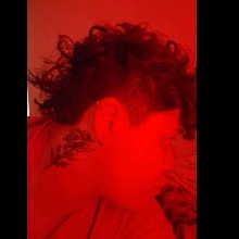 Guest_Amy883765