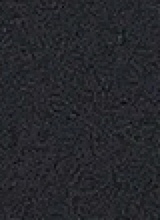 Guest_Lou445