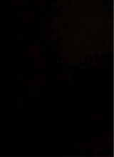 Guest_Dk111007