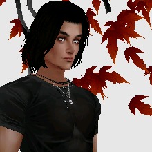 Guest_blackroseballet