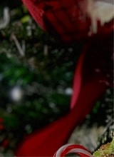 Guest_belle582773