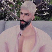 Guest_Amir284305