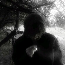 Guest_Henri17