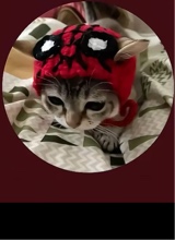 Guest_taylyn5