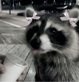 Guest_nrb47