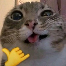 Guest_liazinha001