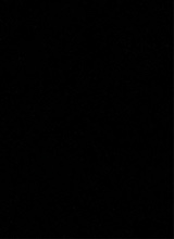 immagine avatar