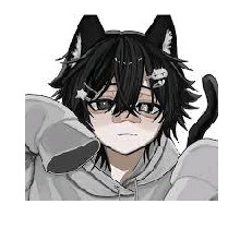 Guest_Davi979590