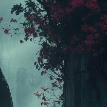 Guest_Val3c