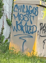 Guest_elihopout1