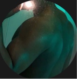 Guest_bigmoneystacksalb