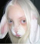 Guest_Miaghh1