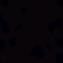 Guest_Nose293166