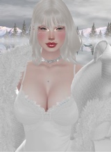 Guest_Ayslax
