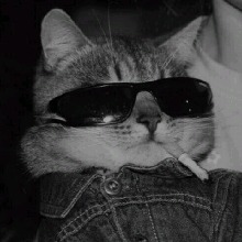 foto del avatar