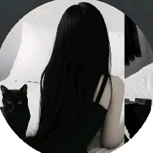 Guest_Asa396401