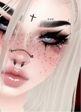 Guest_SiejR