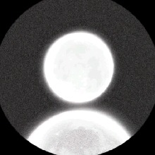 Guest_Zenkaii