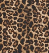 Guest_Jazmine641
