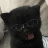 mlvnvn
