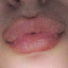 H0WL2