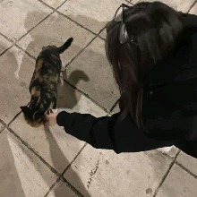 Guest_Oriana41