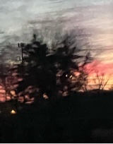 Guest_random319032