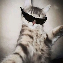 Raefa