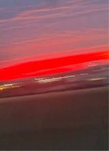 Guest_Brooklyn819562