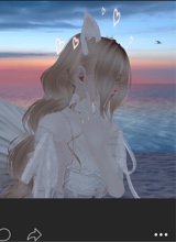 Guest_M14020