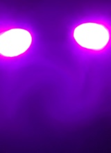 Guest_DuxzzFR