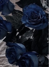 Guest_ShelbyBryant