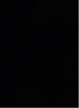 immagine avatar