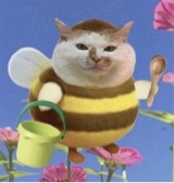 Guest_Paokun2002