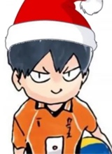 Guest_aninipot