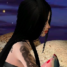 immagine avatar
