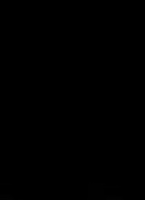 maei31