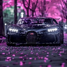 Guest_Ovidiunicolae743