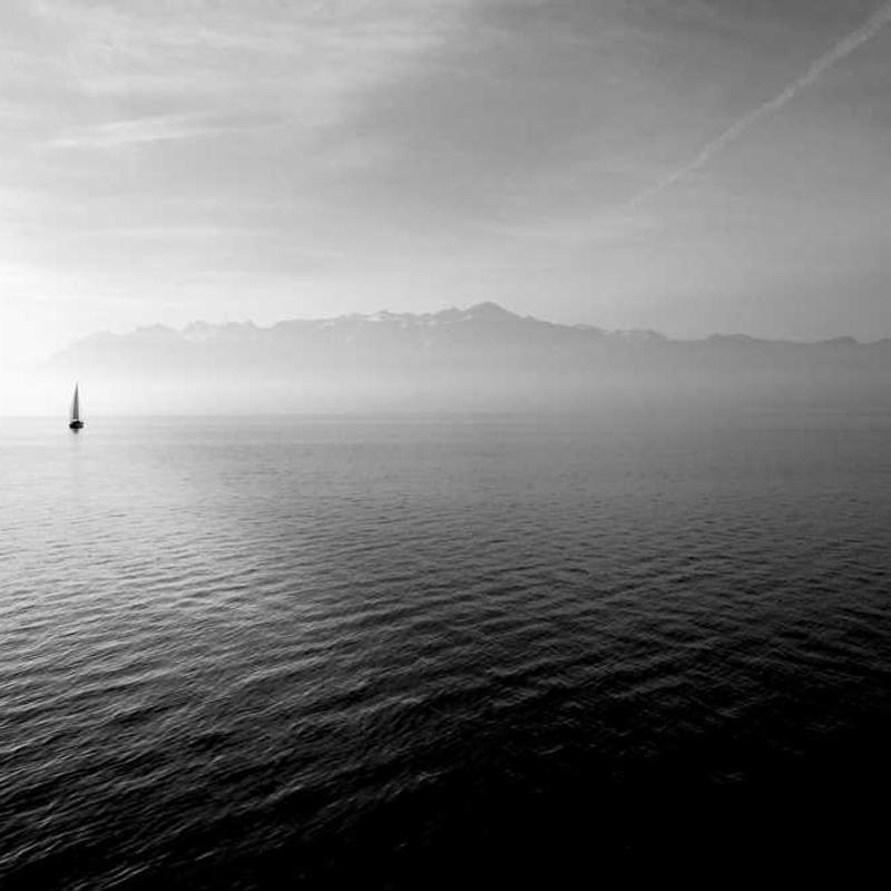 Guest_jasminhic