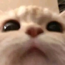 SunMee