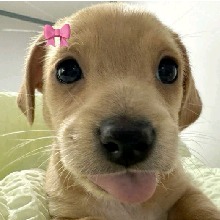 Guest_Camila600818