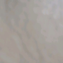 Guest_Jaques18