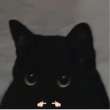 Guest_dropdead11