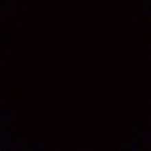 Guest_anas169785